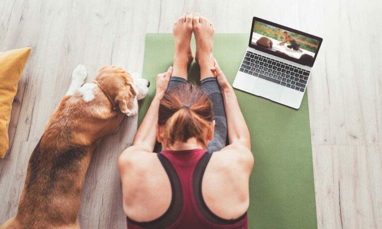 woman with dog by her side doing yoga in an online class