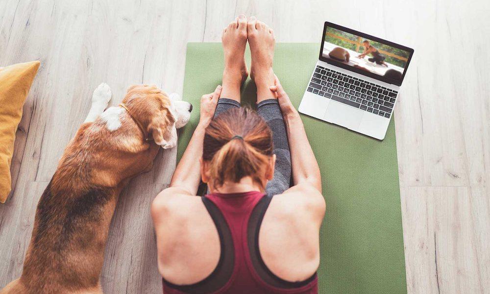 woman with dog by her side doing yoga in an online class