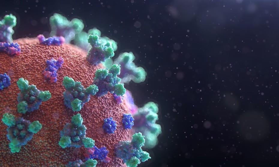 Image of virus