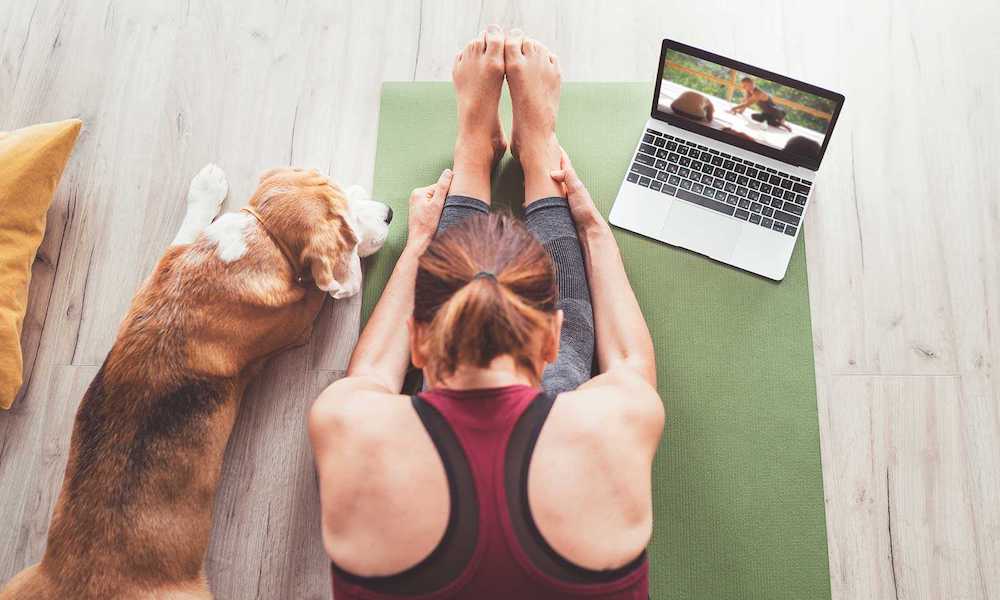Woman taking an online yoga class with dog by her side