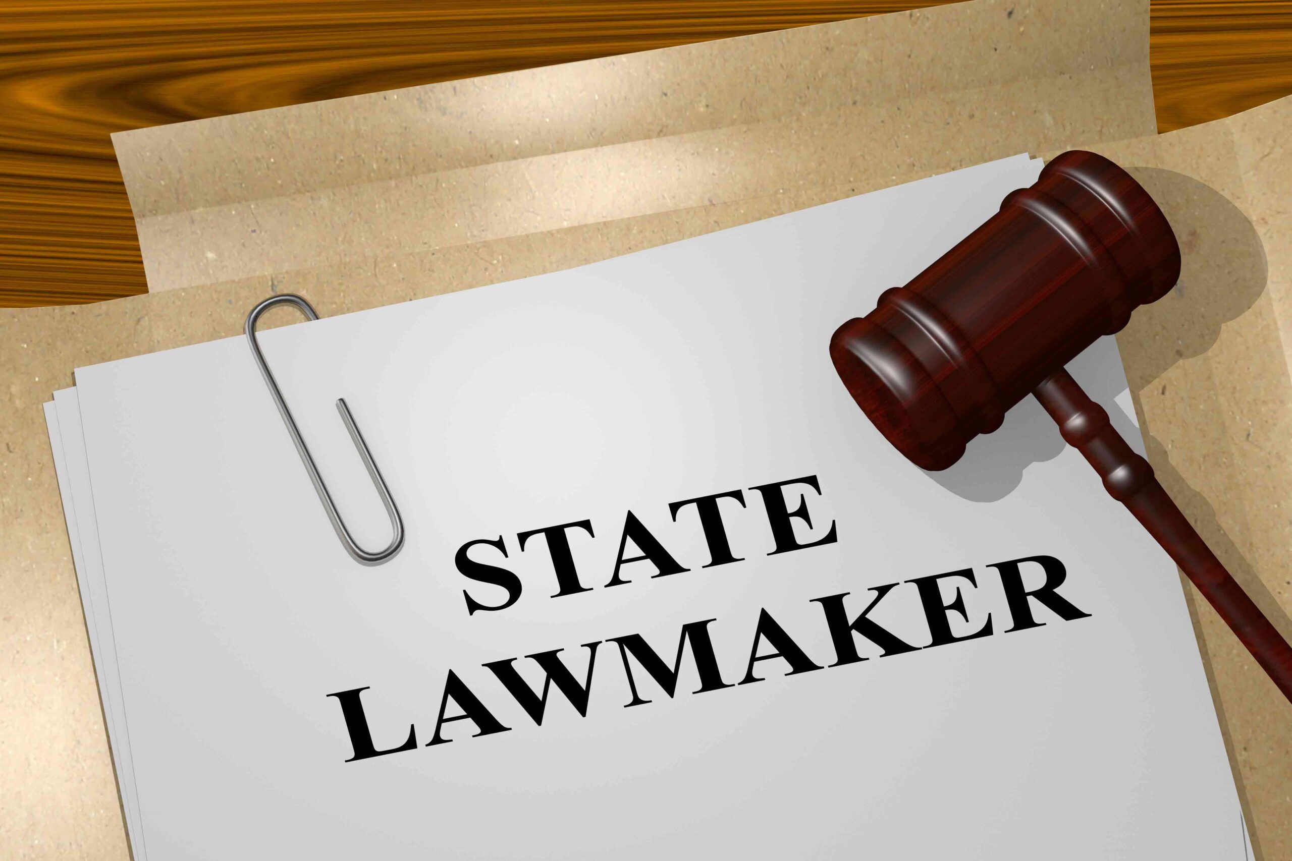 gavel on top of a piece of paper that says state lawmaker