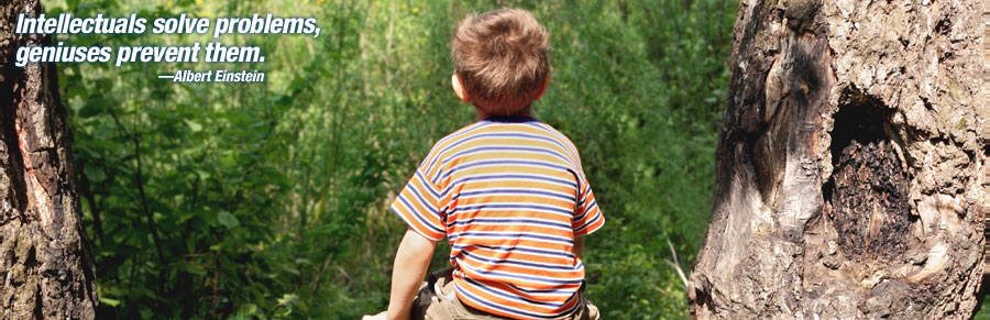 Small boy sitting in a tree looking into the forest. The text quote reads: Intellectuals solve problems, geniuses prevent them. - Albert Einstein